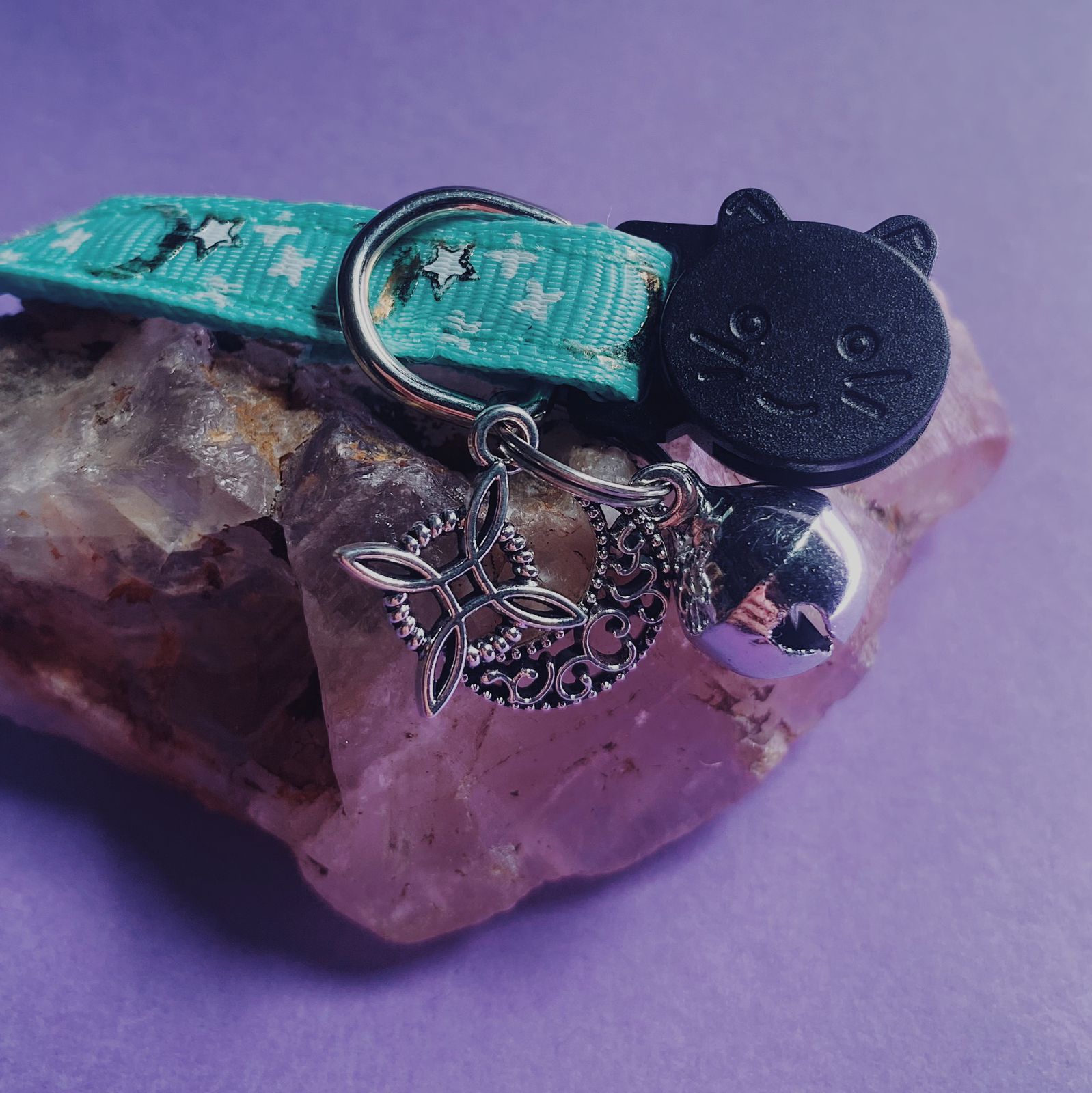 Collar De Protección Para Gatitos