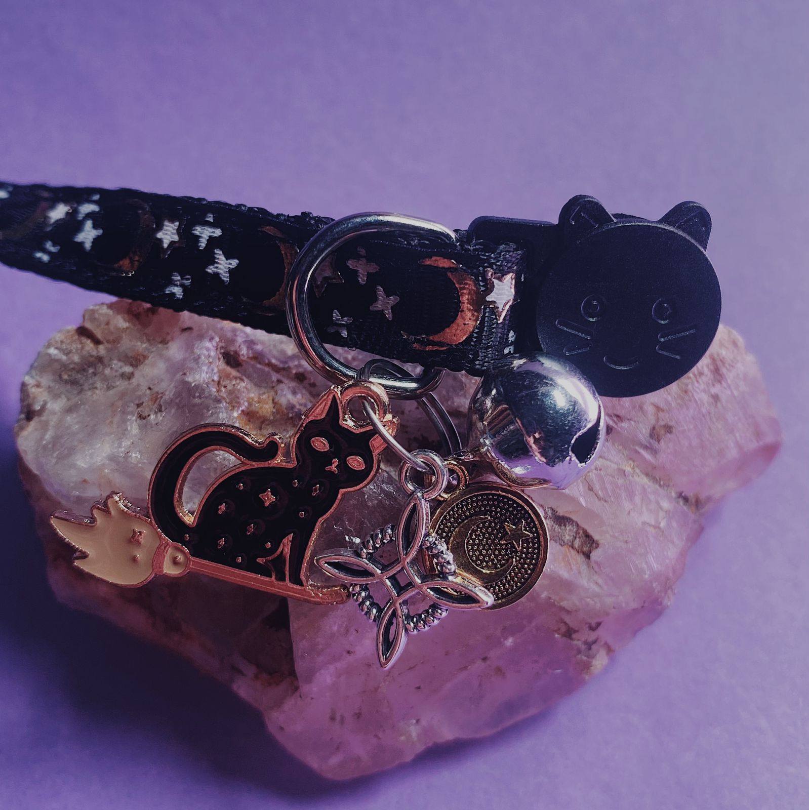 Collar De Protección Para Gatitos