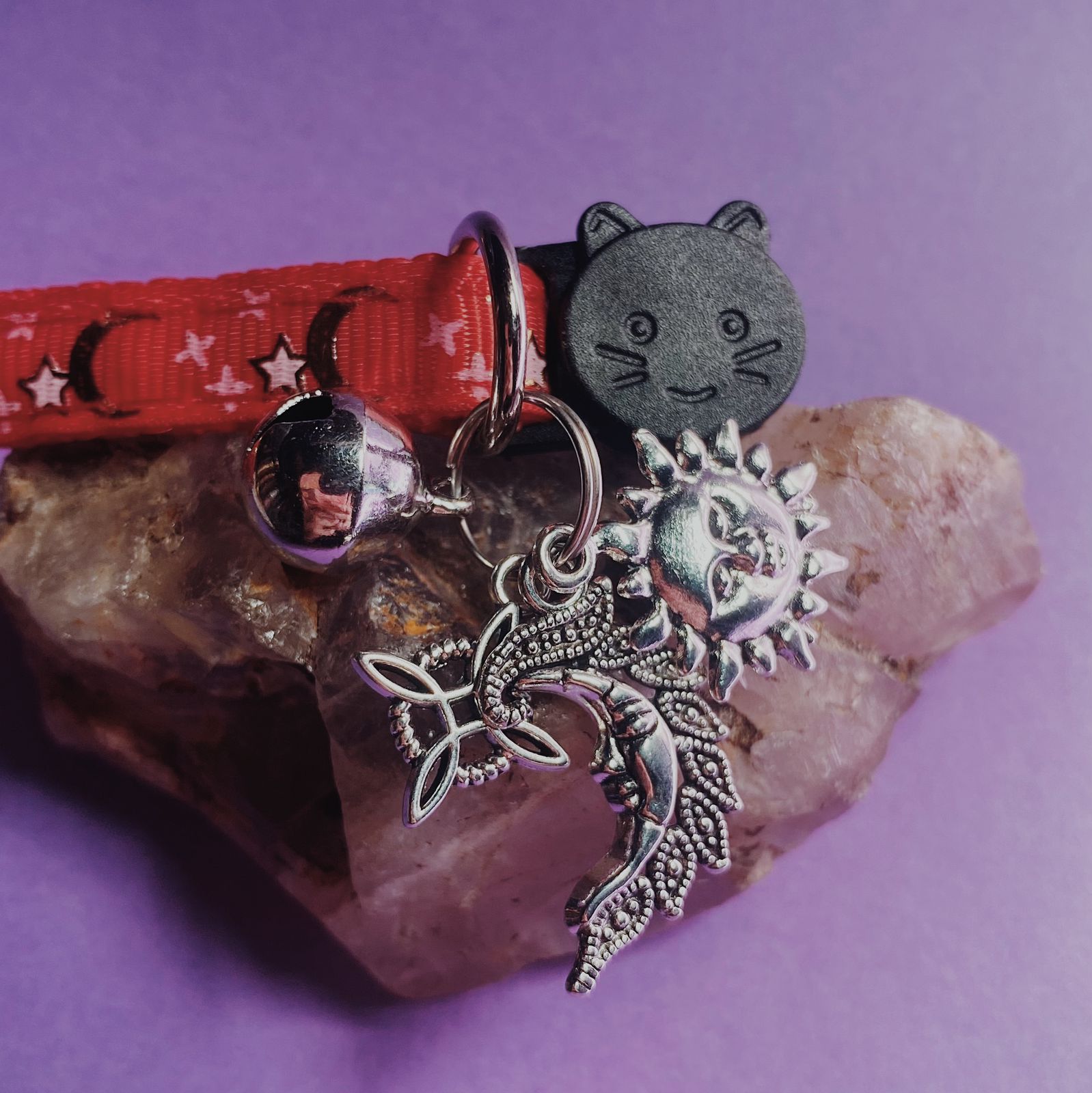 Collar De Protección Para Gatitos