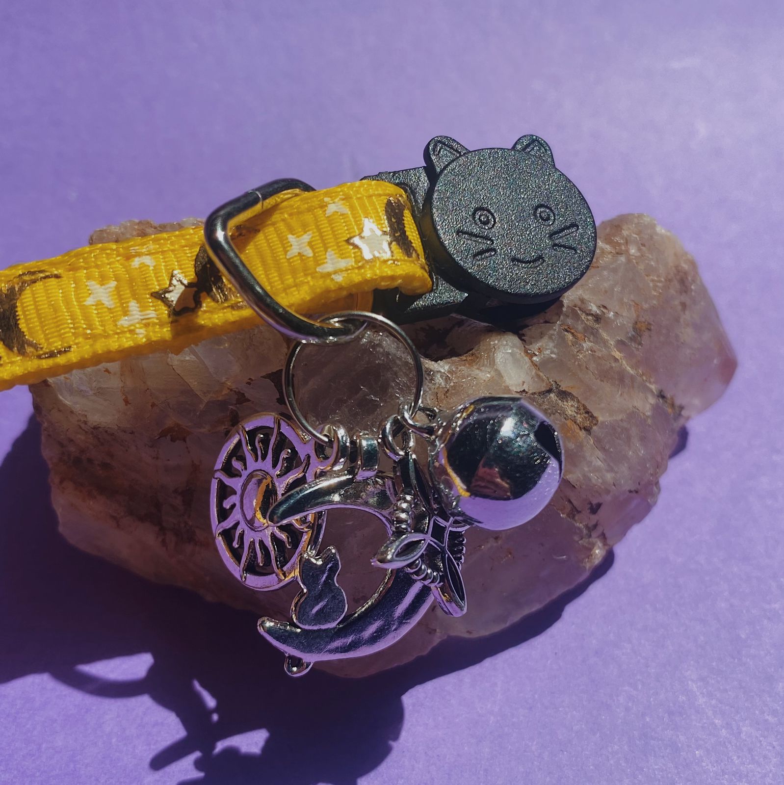 Collar De Protección Para Gatitos