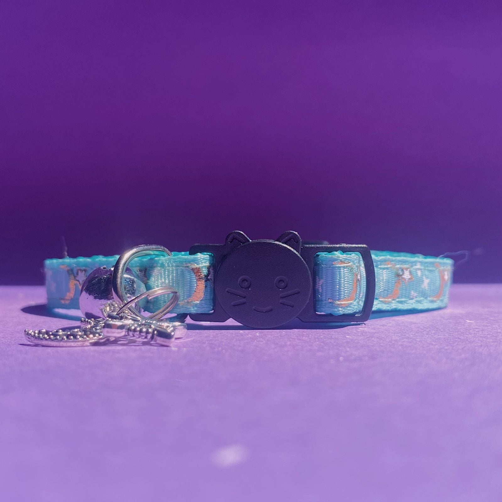 Collar De Protección Para Gatitos