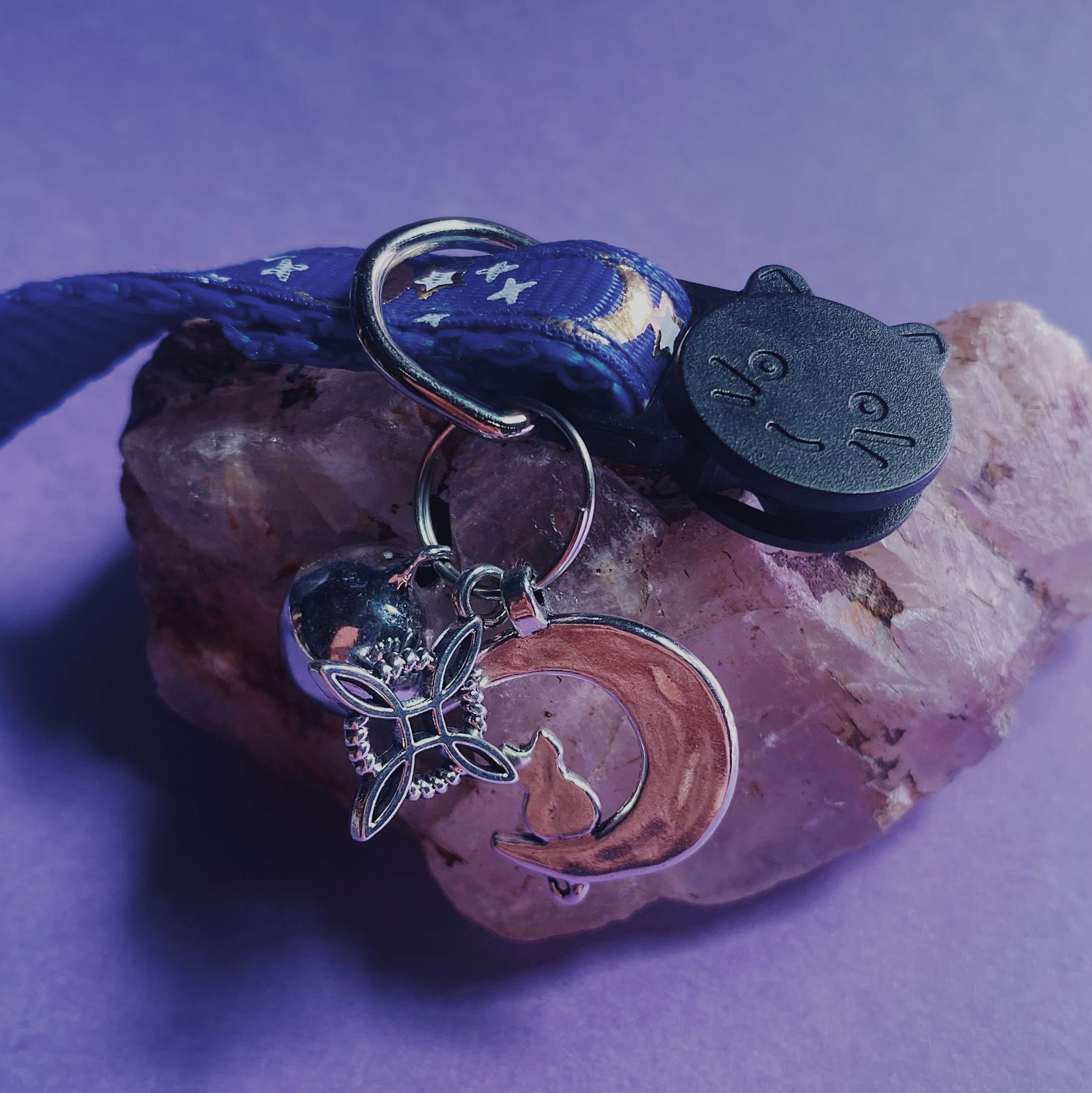 Collar De Protección Para Gatitos