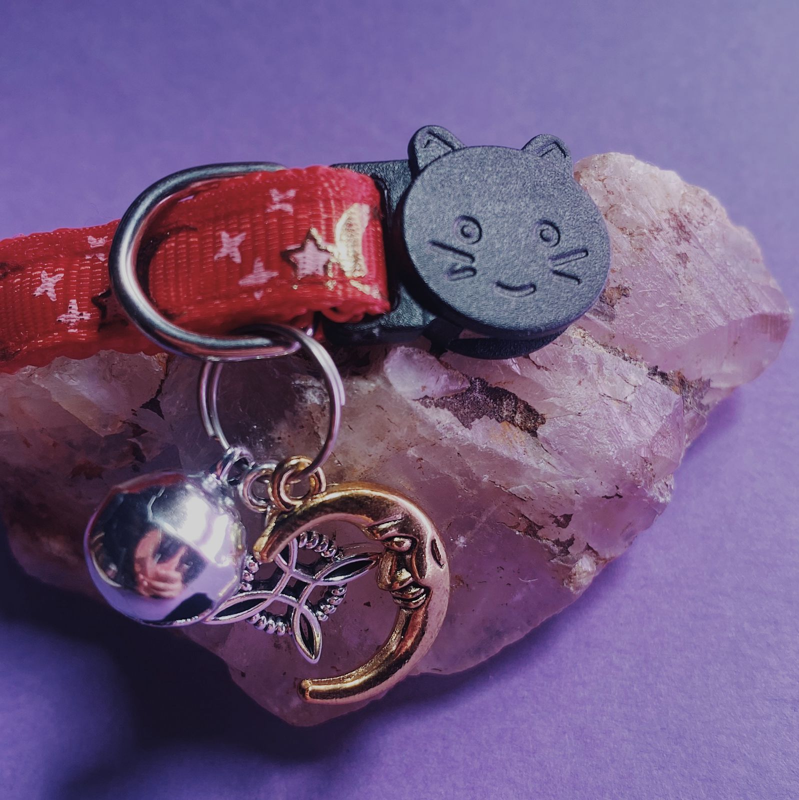 Collar De Protección Para Gatitos