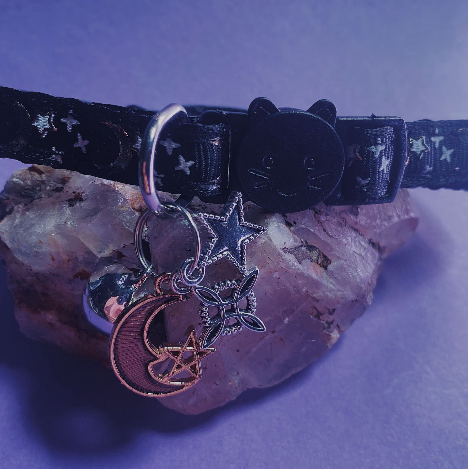 Collar De Protección Para Gatitos