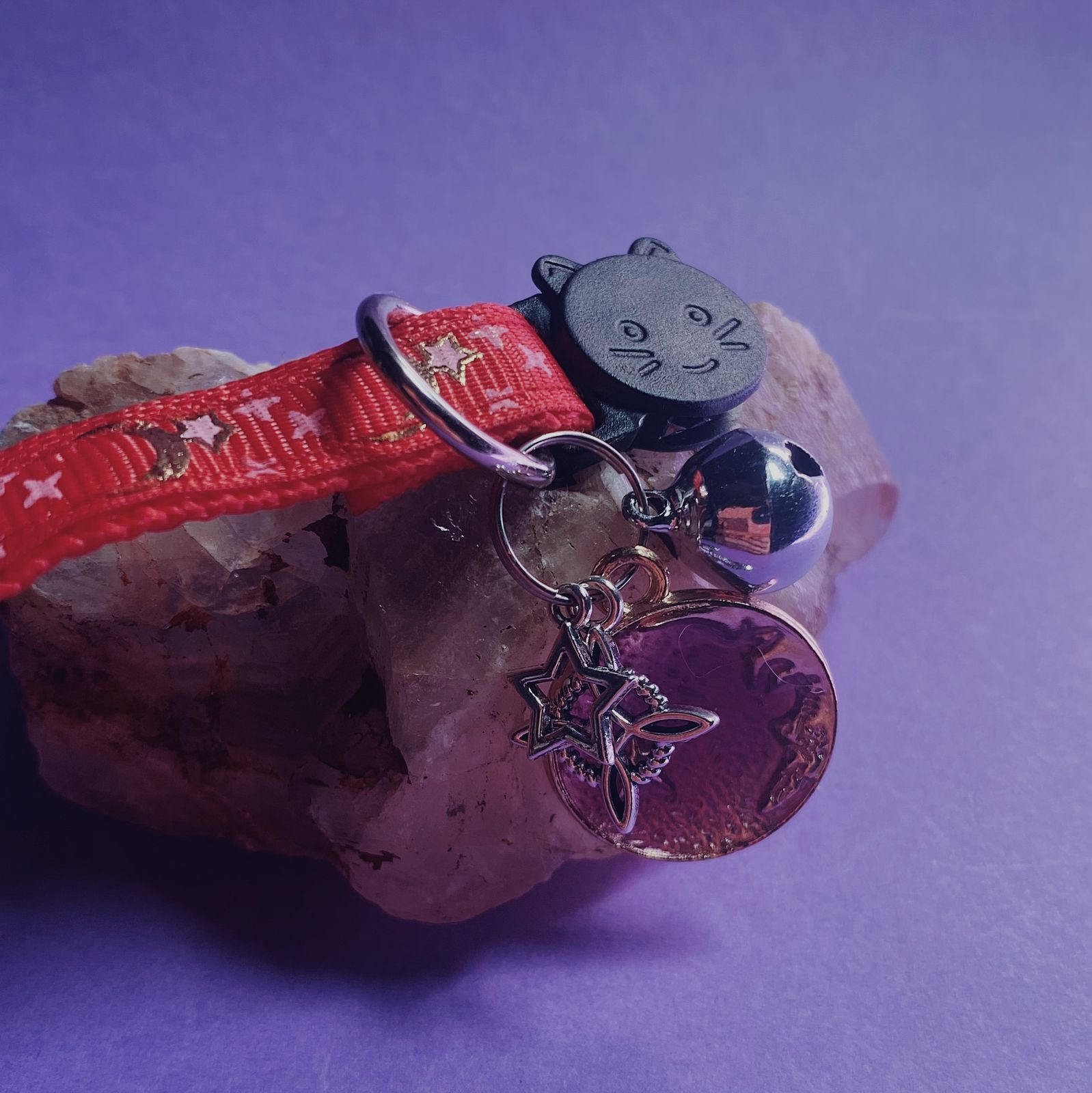 Collar De Protección Para Gatitos