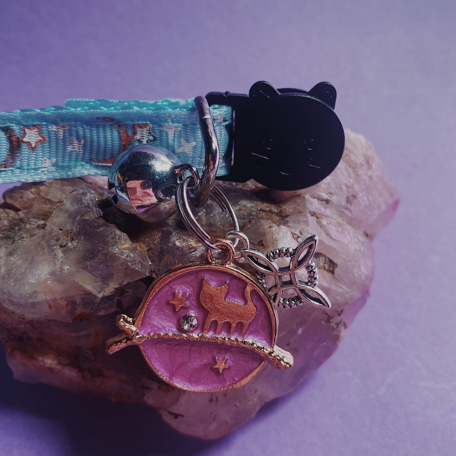 Collar De Protección Para Gatitos