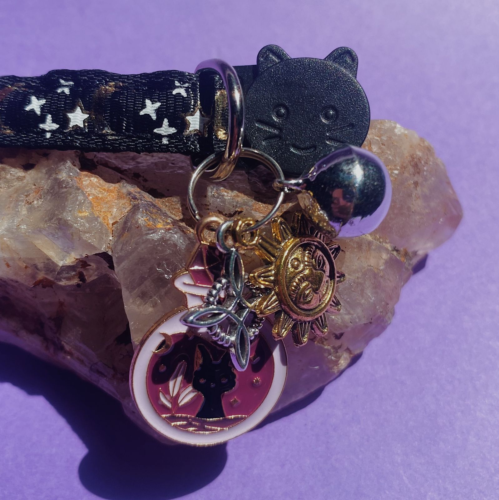 Collar De Protección Para Gatitos