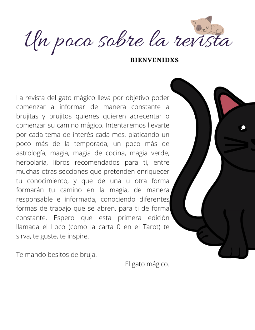 Revista El Gato Mágico Edición - El Loco