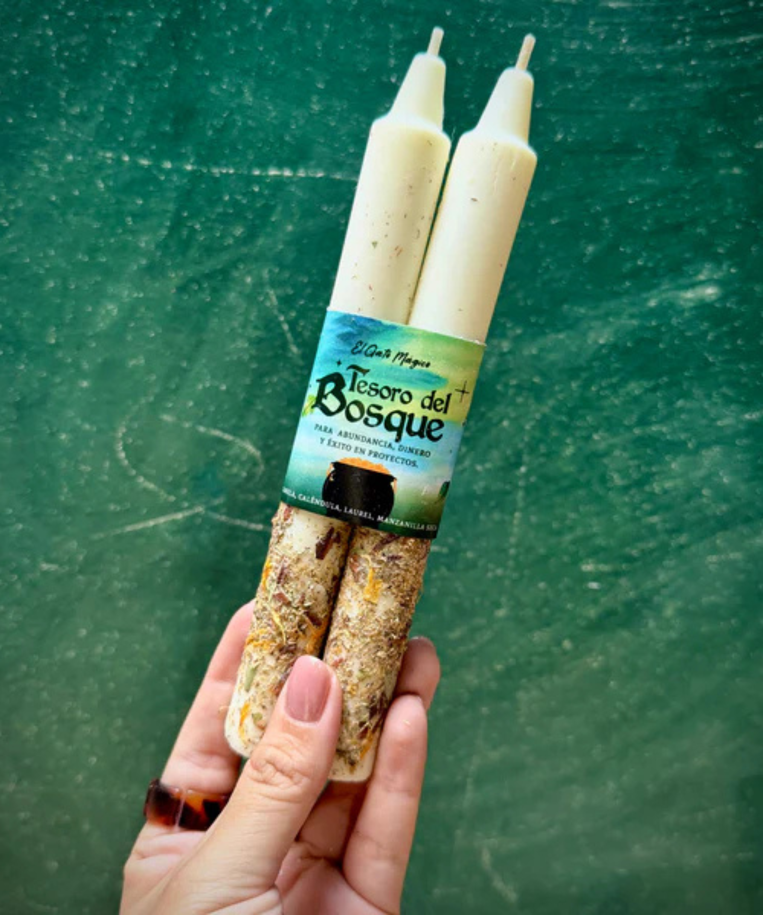 Si quieres abundancia, empieza por plantar la semilla