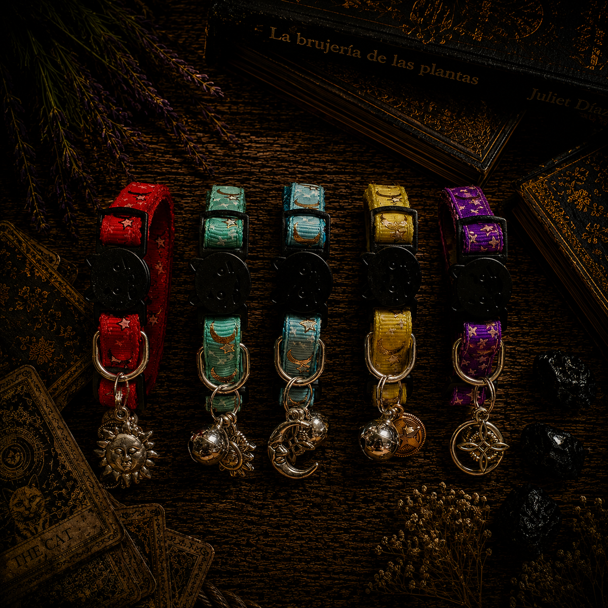 Collar De Protección Para Gatitos