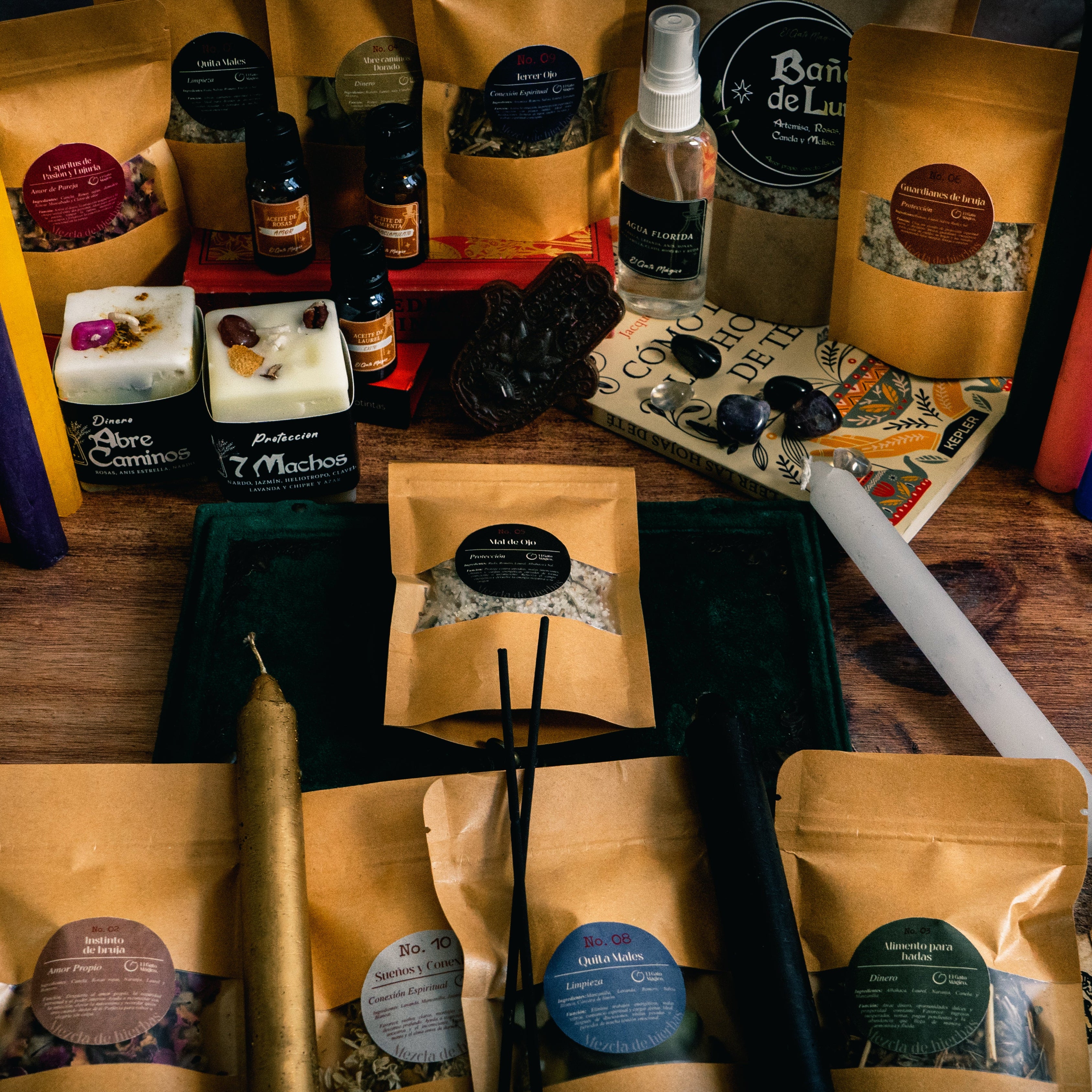 Formación: El Inicio del Camino Mágico