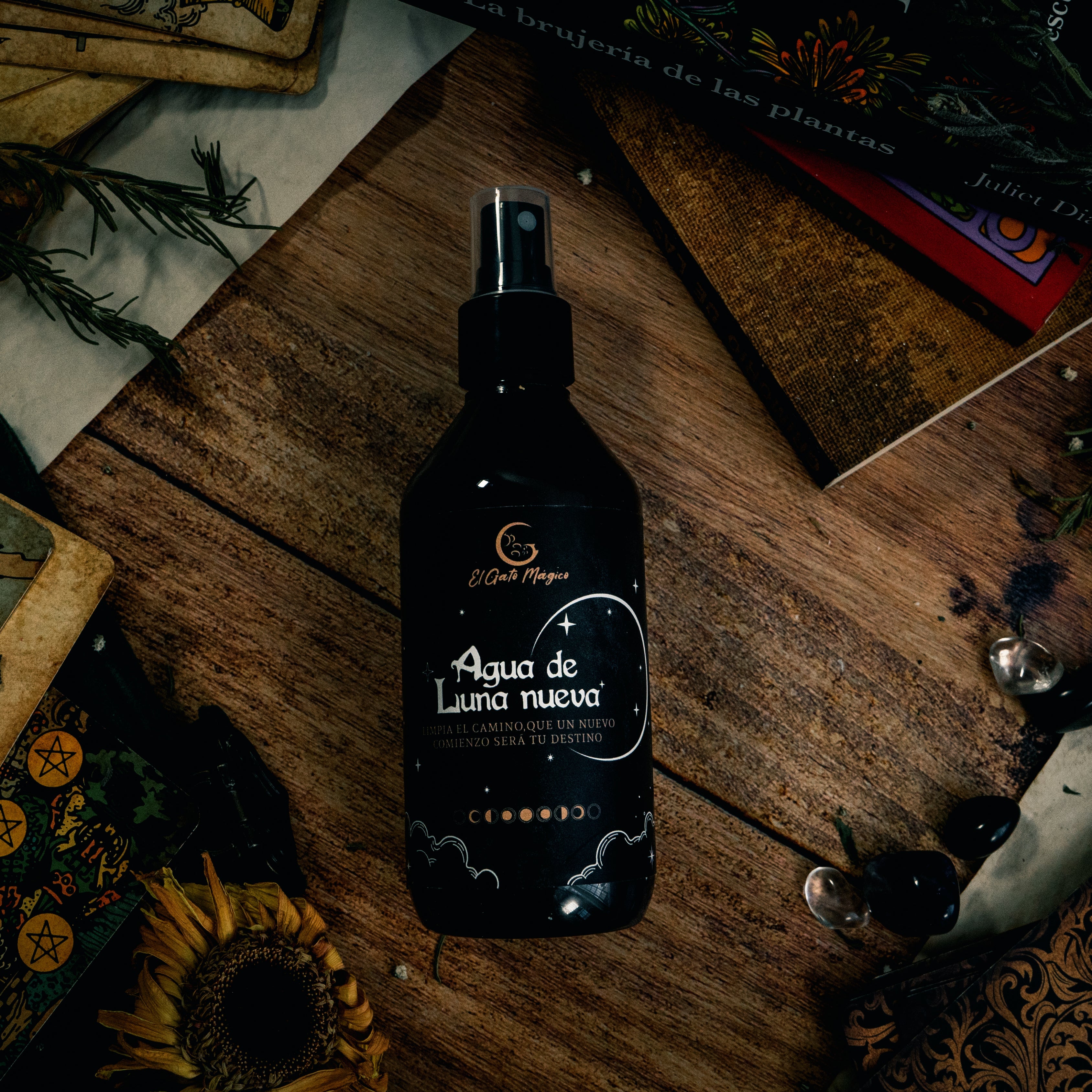 Agua de Luna Nueva