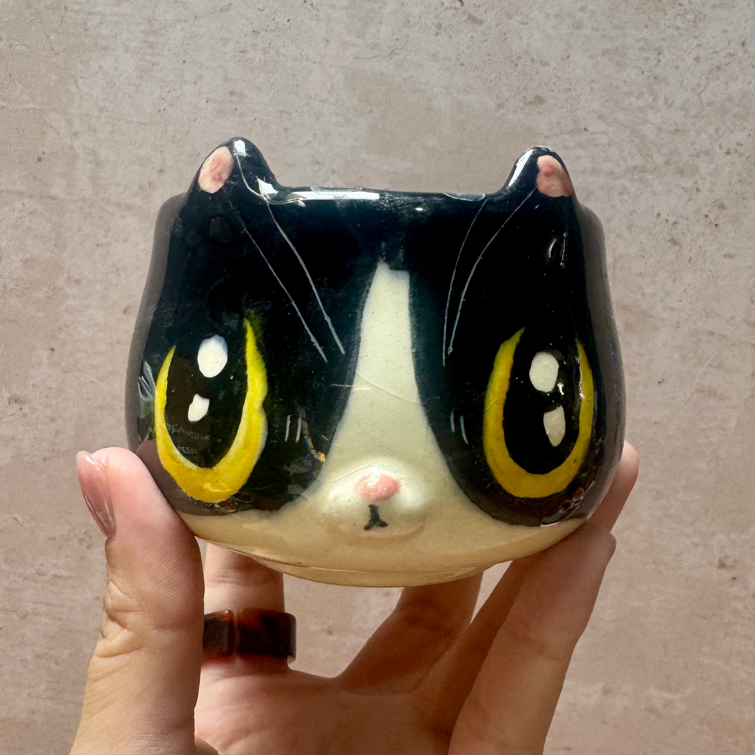 Tazas Gato Mágico